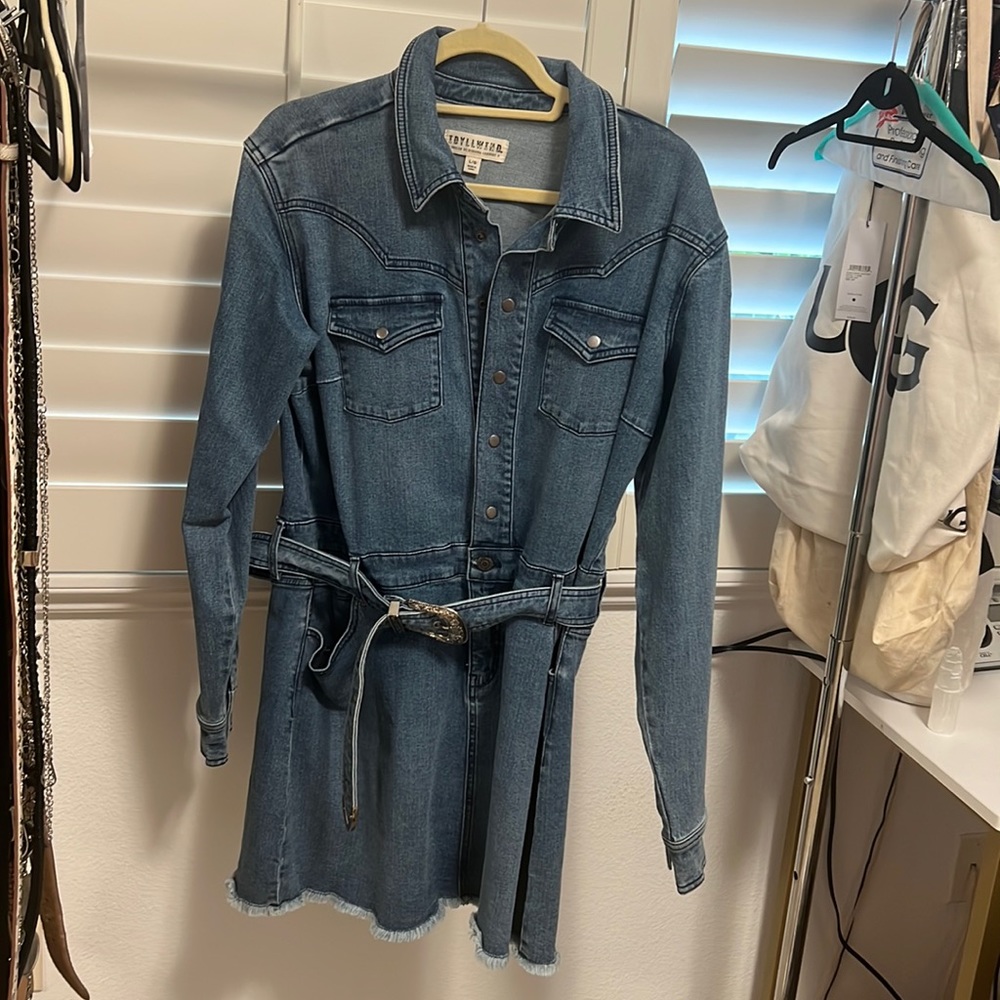 Idyllwind denim dress